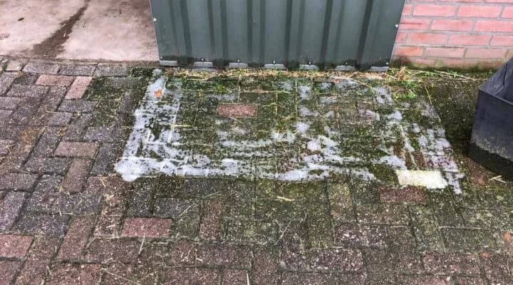 Groene aanslag tegels