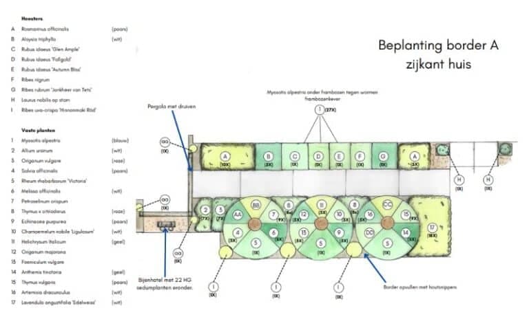 Verzorgde border met beplanting in Groningen