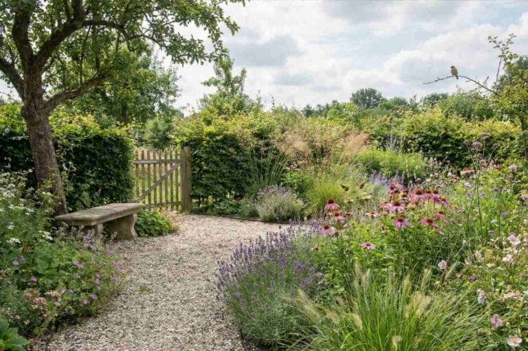 Weelderige tuin met water en groen
