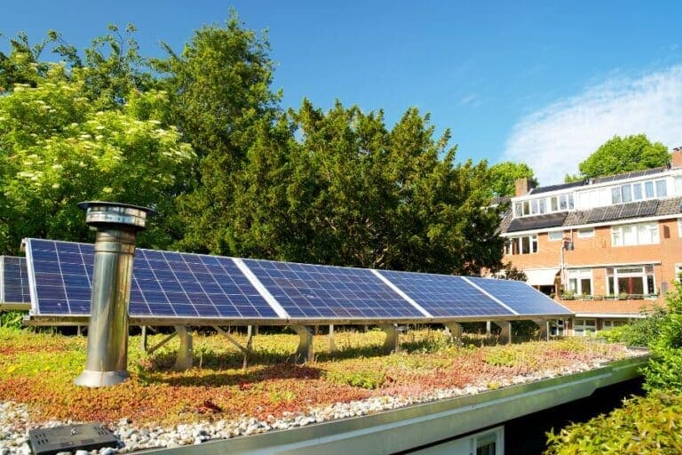 Groen dak als klimaatmaatregel