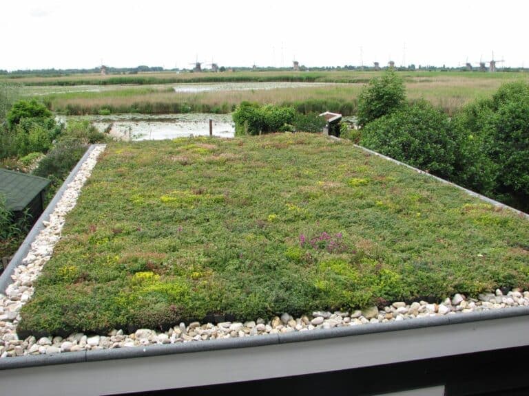 Aangelegde tuin met waterelement