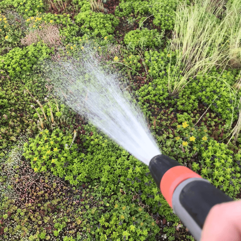 Compleet groen dak