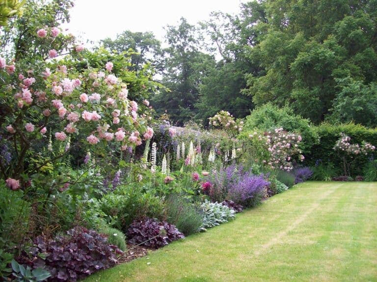 Vaste planten verzorgen in juli