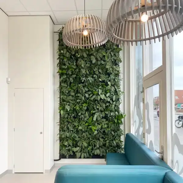 Levende groene wand met weelderige beplanting van DIM groen