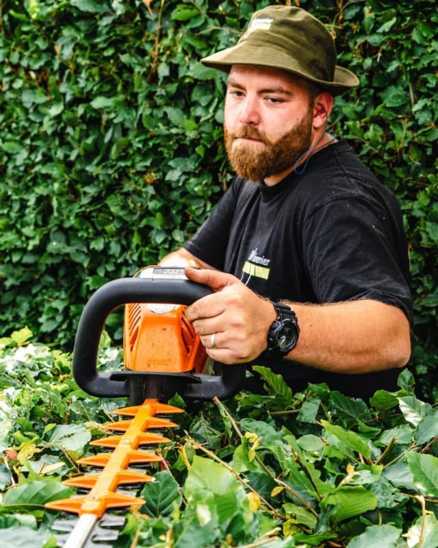 DIM-hovenier snoeit een beukenhaag tijdens tuinonderhoud in Groningen