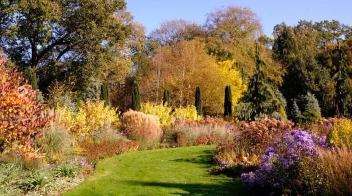 Tuinonderhoud februari