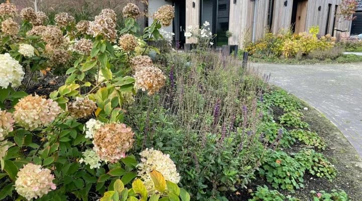 Tuinonderhoud oktober