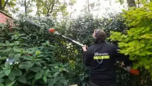 onderhoud tuin