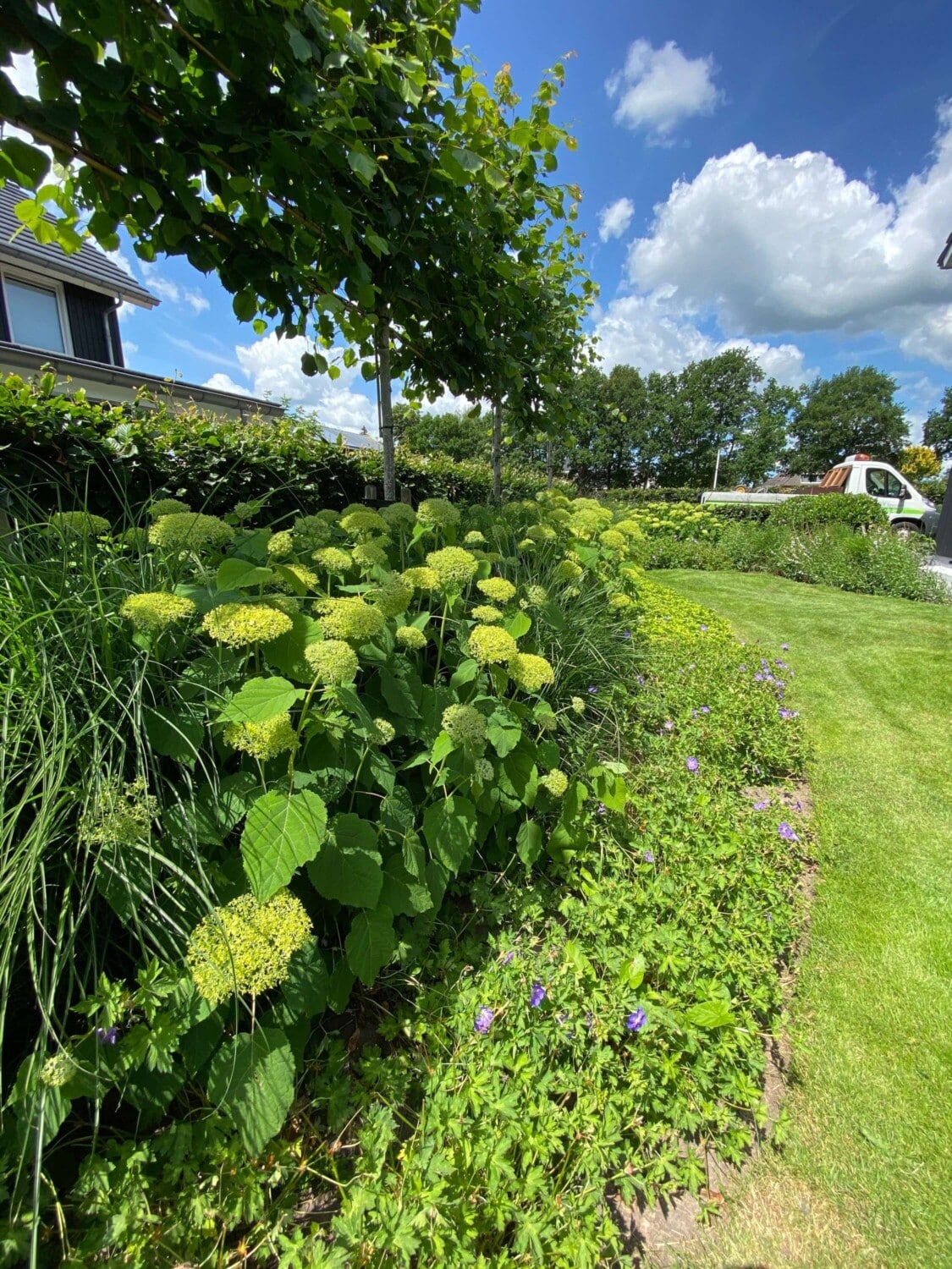 Natuurlijke groene tuin Drachten Natuurlijke groene tuin Drachten
