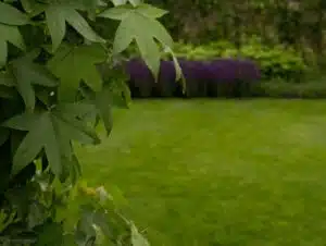 Onderhoudsvrije en kindvriendelijke tuin aan het water Leeuwarden