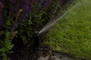 Onderhoudsvrije en kindvriendelijke tuin aan het water Leeuwarden