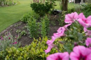 Onderhoudsvrije tuin met moderne veranda