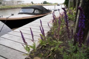Tuin aan het water met een unieke overkapping Drachten
