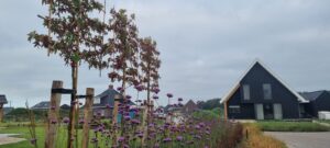 Spannende tuin waar gespeeld is met materialen en lijnen Leek