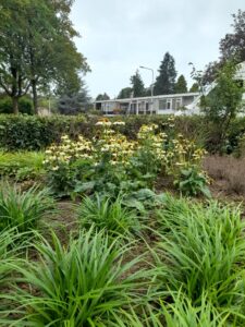 Groene voortuin met cortenstalen trap Haren