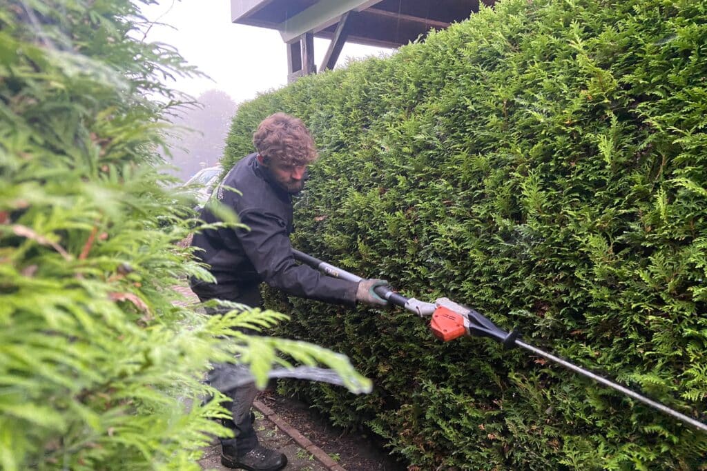 Tuinonderhoud heg