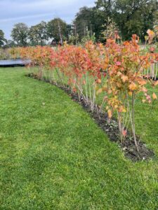 Spannende tuin waar gespeeld is met materialen en lijnen Leek