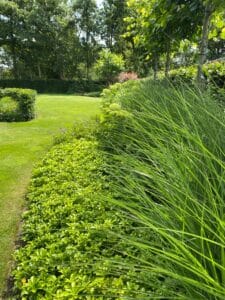 Natuurlijke groene tuin Drachten