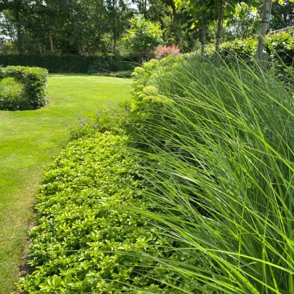 Natuurlijke groene tuin Drachten