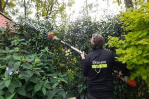 Tuinonderhoud struiken