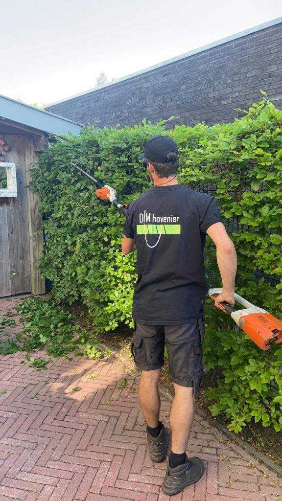 tuinonderhoud snoeien Groningen tuinonderhoud snoeien Groningen