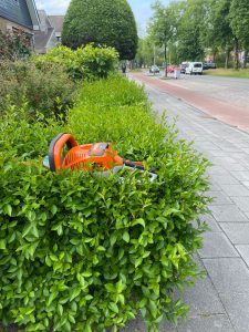 Struiken snoeien