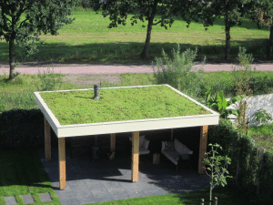 overkapping met sedum Heerenveen dak