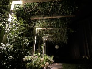 pergola met verlichting