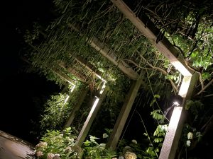 pergola met ingebouwde verlichting
