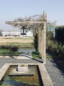 pergola