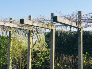 pergola
