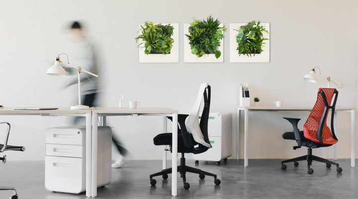 Greenwall voor bedrijven Greenwall voor bedrijven