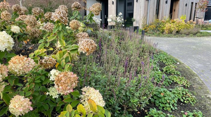 Onderhouden tuin in najaar Onderhouden tuin in najaar