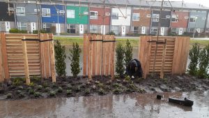 najaar beplanting aanplanten