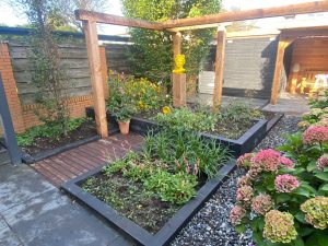 Nieuwbouw Tuin