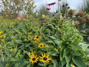 najaar beplanting
