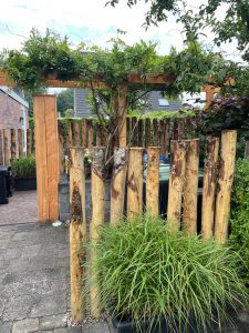 pergola en schutting van kastanjepalen
