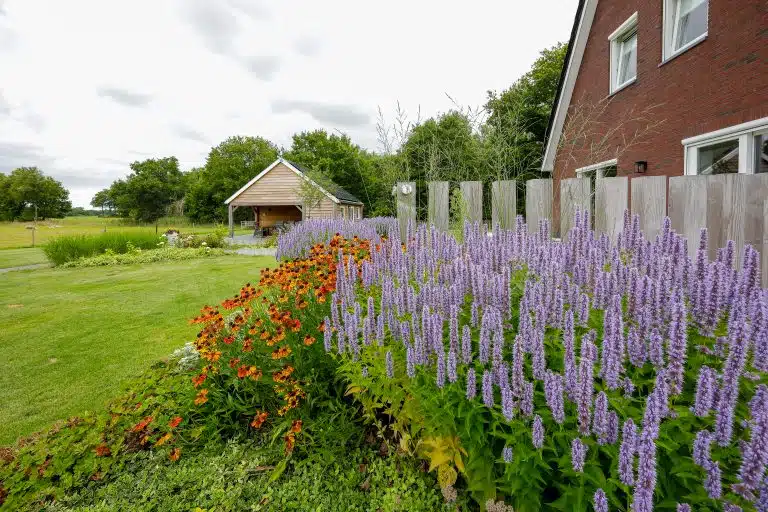 Beplanting Friesland