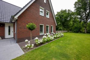 Tuinaanleg Bakkeveen natuurlijke tuin