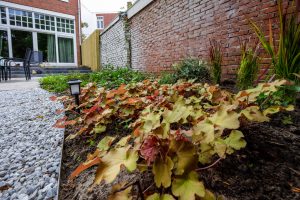 Natuurlijke tuin Groningen