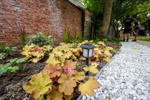 Gravel paden Groningen