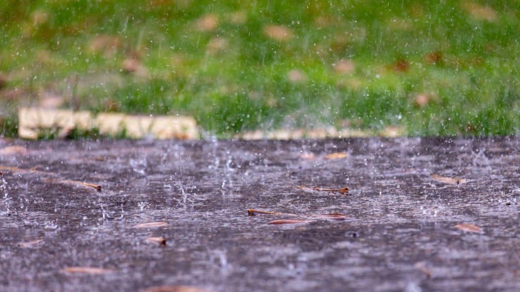 Wateroverlast tuin