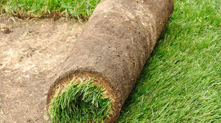 Gazon vernieuwen of herstellen