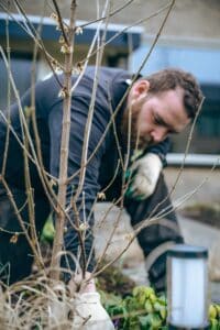 Tuin aanleggen in Groningen