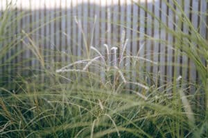 Gazon aanleg Drachten
