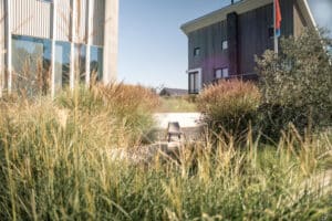 Wilde tuin aanleg Drachten
