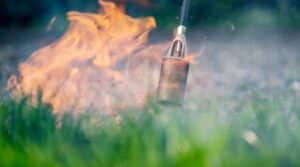 Onkruid verwijderen branden