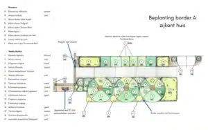 Beplanting border Groningen