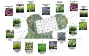 Beplantingsplan met plantsoorten