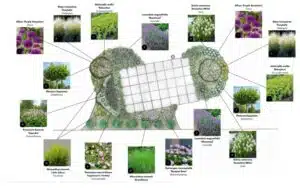 Beplantingsplan met plantsoorten